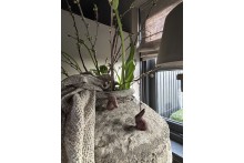 Metalen haasje aan een ketting